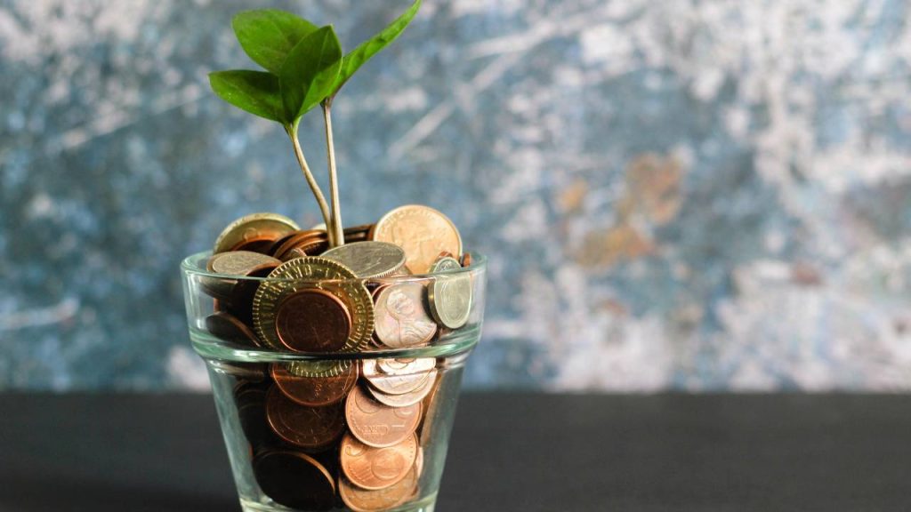 A green plant growing out of a glass jar filled with coins